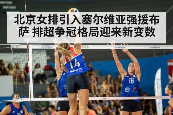 北京女排引入塞尔维亚强援布萨 排超争冠格局迎来新变数